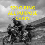 520-ORING