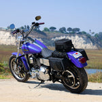 NR-400 - ROAD TRIP SADDLEBAGS 22