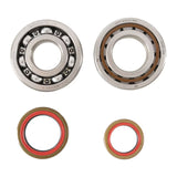 Main Bearing and Seal Kit