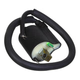 WMP Electrical Coil 12V