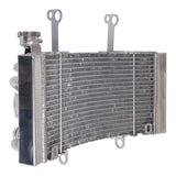 WMP Radiator KTM/Husqvarna 450 Rally / FR450 Rally '19-'22