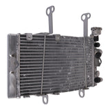 WMP Radiator KTM/Husqvarna 450 Rally / FR450 Rally '19-'22