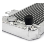 WMP Radiator Kawasaki Ninja 300 '13-'17