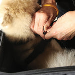 NR-240 - ROVER PET CARRIER 13